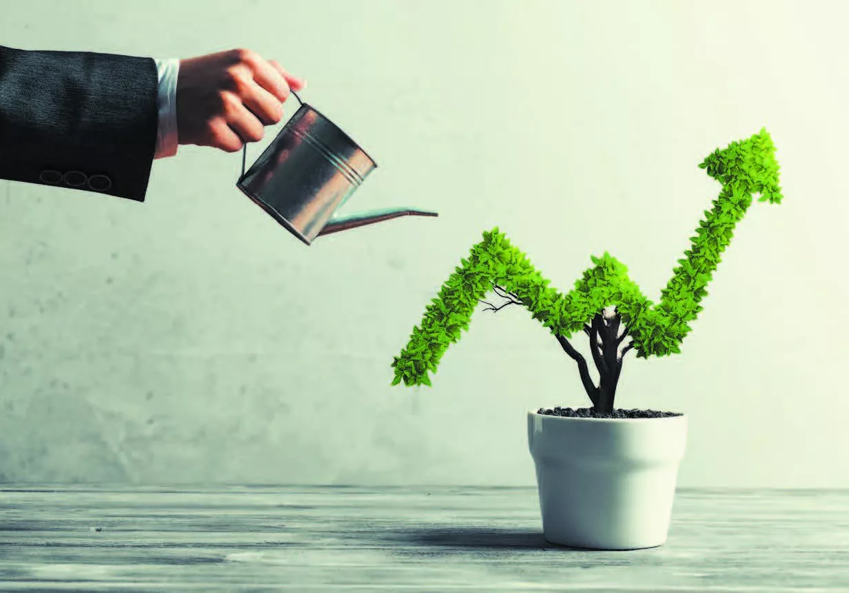 Croissance des cabinets de conseil en gestion de patrimoine : Quelles sont les tendances ?