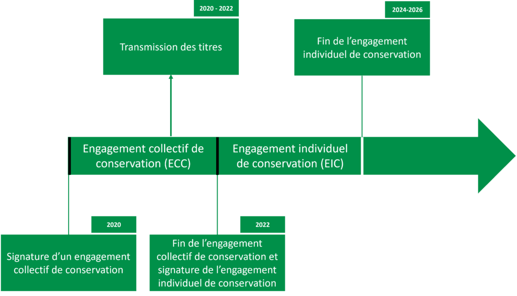 Schéma chronologique des engagements de conservation du pacte Dutreil